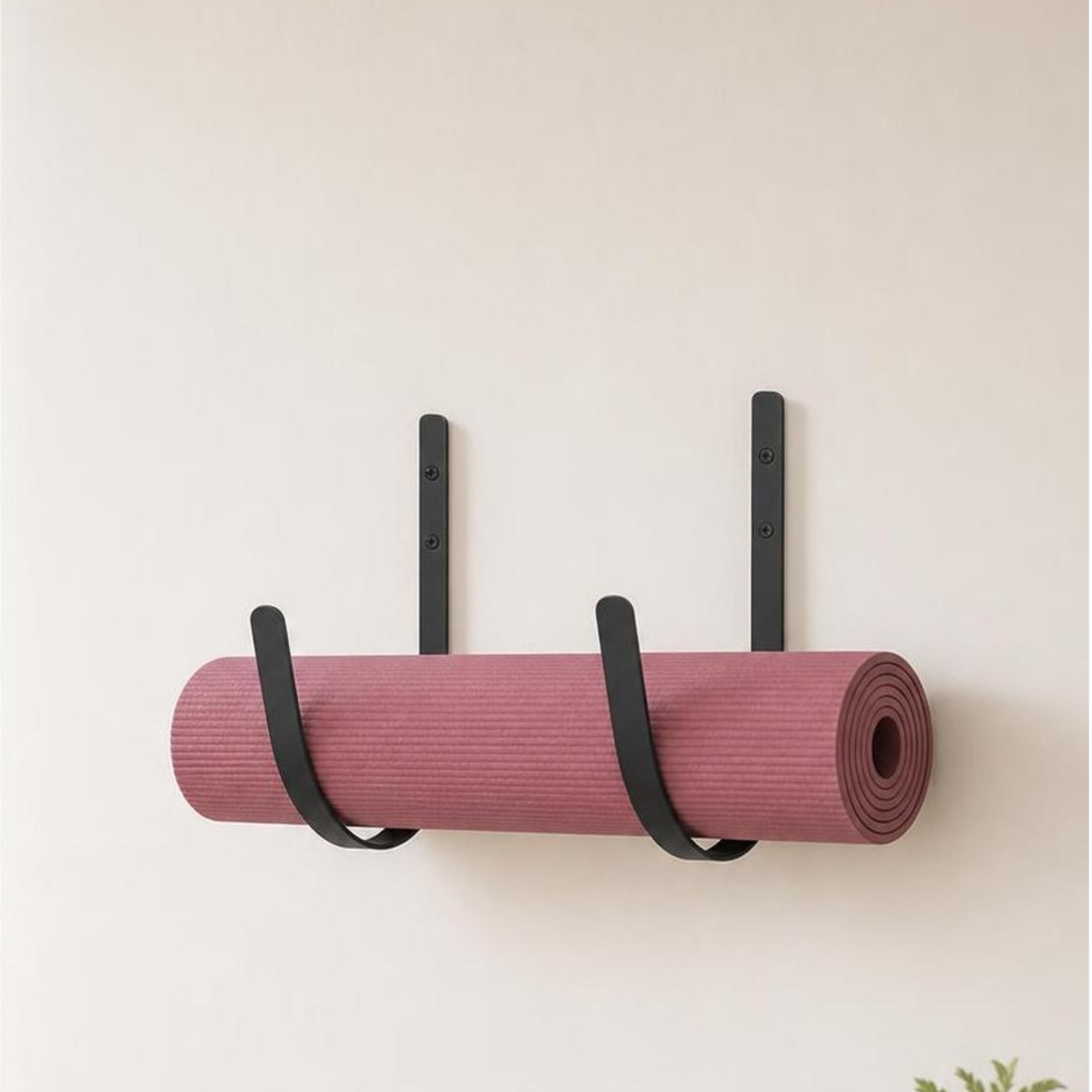 ที่แขวนเสื่อออกกำลังกายแบบมินิ - Home Gym Minimalist บทวิจารณ์และราคา
