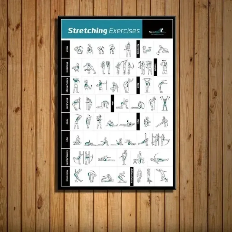 แผนภูมิการฝึกออกกำลังกาย GYM ฟ - Home Gym Minimalist บทวิจารณ์และราคา