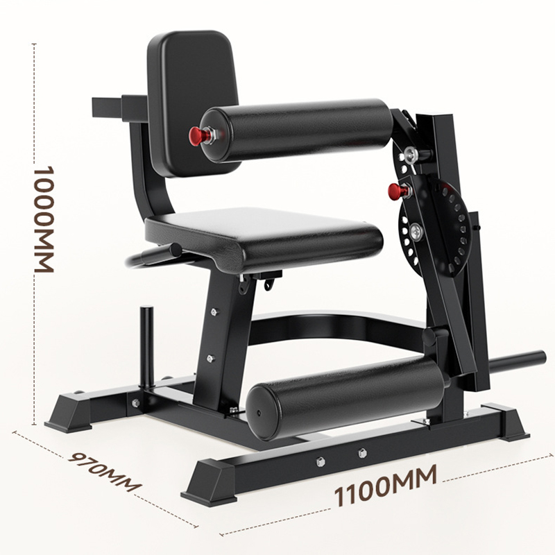 ม้านั่งออกกำลังกายปรับระดับได้ - Home Gym Leg Extension Machine บทวิจารณ์และราคา