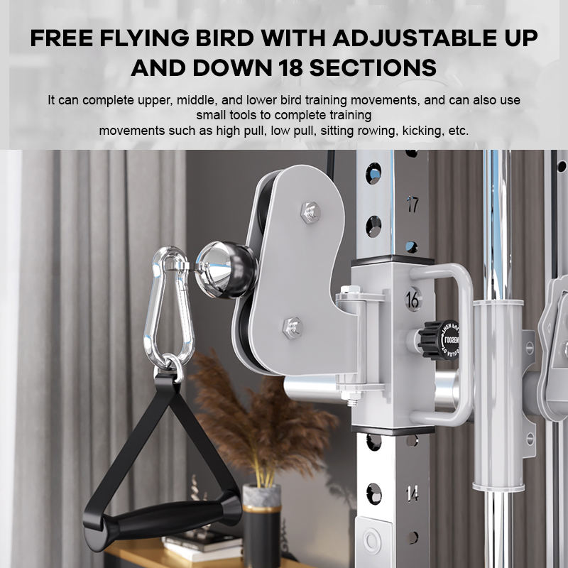 โรงงาน YTYIN ผู้ผลิตอุปกรณ์ออก - Home Gym Leg Machine บทวิจารณ์และราคา